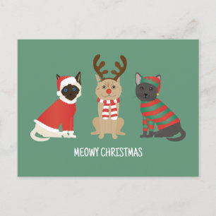 クリスマスの猫たち ポストカード