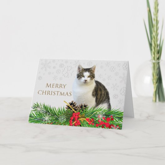 クリスマスの猫とグリーン飾りのホリデー カード (正面)