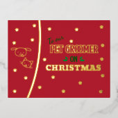 クリスマスの猫と犬のトリマー ゴールド ホリデー (正面)