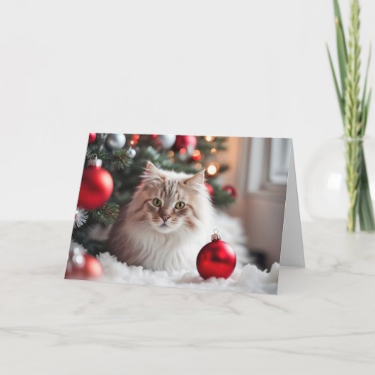 クリスマスの猫と赤いオーナメント シーズンカード (正面)