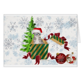 クリスマスの猫のご挨拶