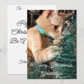 クリスマスの猫のご挨拶、写真とテキスト、 シーズンカード (正面/裏面)