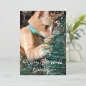 クリスマスの猫のご挨拶、写真とテキスト、 シーズンカード (スタンド正面)