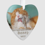 クリスマスの猫ペットのお守り写真 ホリデーグッズ オーナメント (正面)
