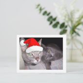 クリスマスの猫 シーズンポストカード (スタンド正面)