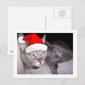 クリスマスの猫 シーズンポストカード (正面/裏面)