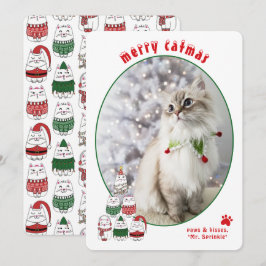 クリスマスの猫 愛らしい猫の写真 シーズンカード