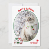 クリスマスの猫 愛らしい猫の写真 シーズンカード (正面)