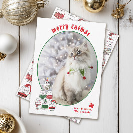 クリスマスの猫 愛らしい猫の写真 シーズンカード