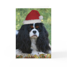 クリスマスの用意して下さい