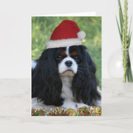 クリスマスの用意して下さい シーズンカード