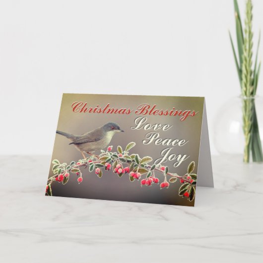 クリスマスの祝福 愛 平和 喜び, ルカ2:14 シーズンカード (正面)