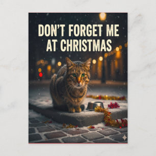 クリスマスの絵画 猫も忘れないで ポストカード