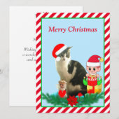 クリスマスの縞模様の子猫、エンジェルと可愛いエルフと赤背景 (正面/裏面)