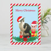 クリスマスの縞模様の子猫、エンジェルと可愛いエルフと赤背景 (スタンド正面)