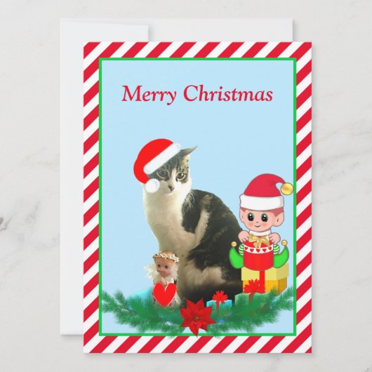 クリスマスの縞模様の子猫、エンジェルと可愛いエルフと赤背景 (正面)