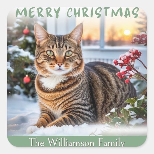 クリスマスの縞模様の猫 雪の中 かわいい動物のクリスマス スクエアシール (正面)