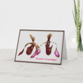 クリスマスの花の蘭 シーズンカード