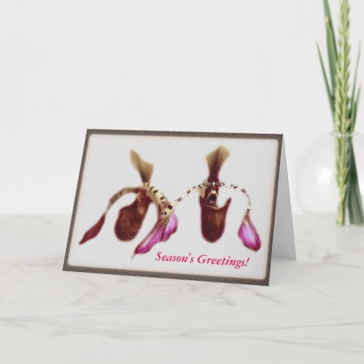 クリスマスの花の蘭 シーズンカード (正面)
