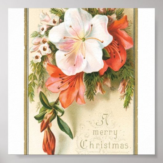 クリスマスの花 ポスター (正面)