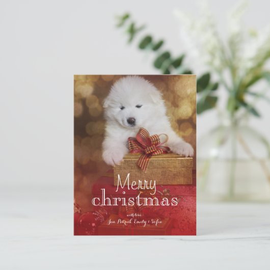 クリスマスの贈り物と一緒にサモイをした子犬 シーズンポストカード (スタンド正面)