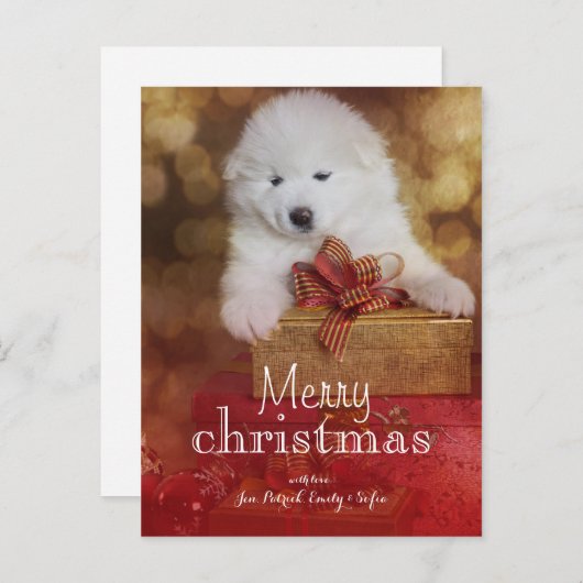 クリスマスの贈り物と一緒にサモイをした子犬 シーズンポストカード (正面/裏面)