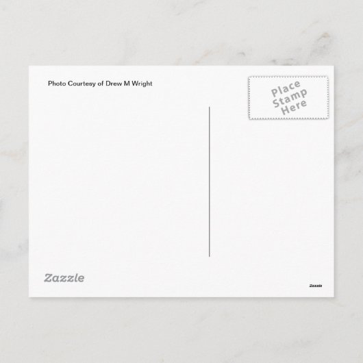 クリスマスの郵便はがき:  「Northern Lights シーズンポストカード (裏面)