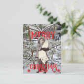 クリスマスの雪とポインセチアの写真 カード (スタンド正面)