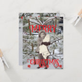 クリスマスの雪とポインセチアの写真 カード (正面/裏面インサイチュ)