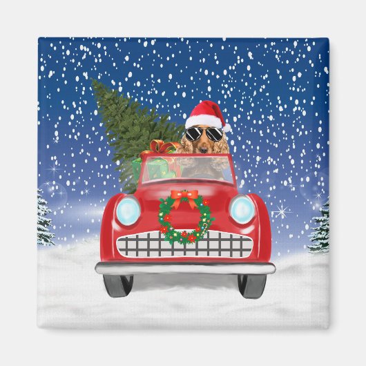 クリスマスの雪の中で車を運転するコッカー・スパニエル マグネット (正面)