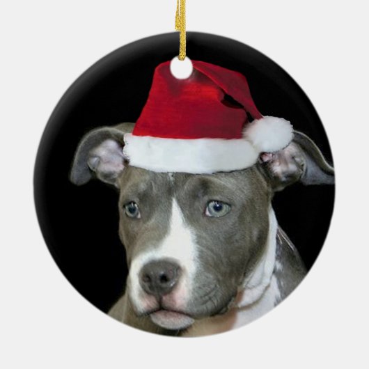 クリスマスの青いピットブルの子犬 セラミックオーナメント (裏面)