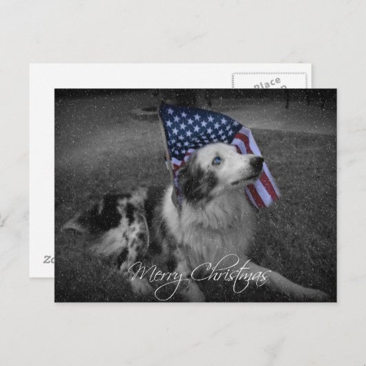 クリスマスの青い目の米国旗犬の郵便はがき シーズンポストカード (正面/裏面)