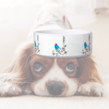 クリスマスの青い鳥