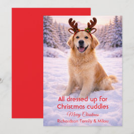 クリスマスの面白い引用のあるかわいい犬 | ホリデーカード