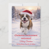 クリスマスの面白い引用のあるかわいい犬 | ホリデーカード (正面)