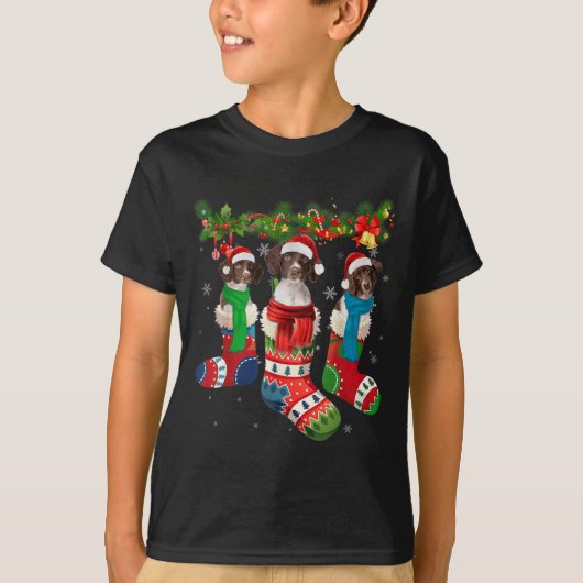 クリスマスの靴下に入ったドレンツェ・パートライシェント Tシャツ (正面)