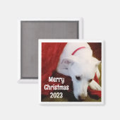 クリスマスの願いと年の愛犬の写真 マグネット (正面/裏面)