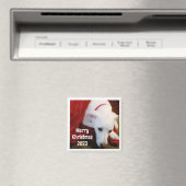 クリスマスの願いと年の愛犬の写真 マグネット (インサイチュ (食洗機))