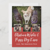 クリスマスの願い数々の写真ドッグコラージクリスマス シーズンカード (正面)