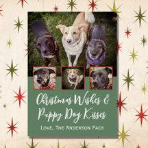 クリスマスの願い数々の写真ドッグコラージクリスマス