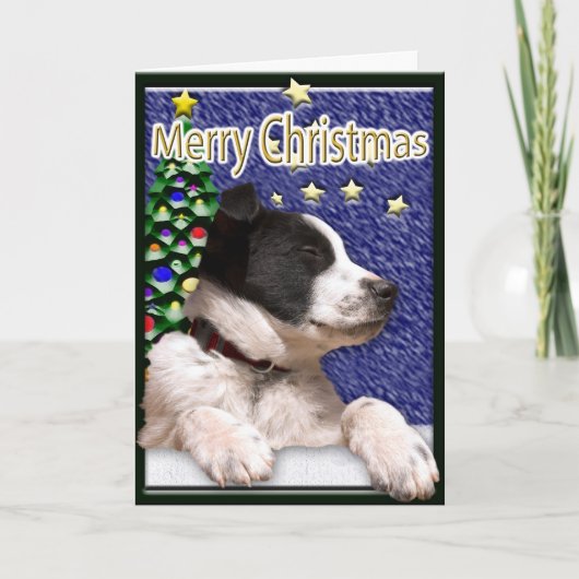 クリスマスの願い かわいい子犬 オーダーメイド 内部のメッセージ シーズンカード (正面)