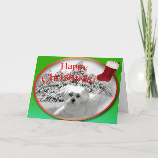 クリスマスの願い シーズンカード (正面)