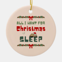 クリスマスの願い