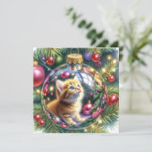 クリスマスの飾り付けでの子猫の反射 カード (スタンド正面)