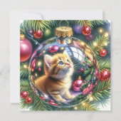 クリスマスの飾り付けでの子猫の反射 カード (正面)