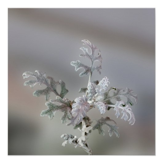 クリスマスの飾り付け ポスター (正面)