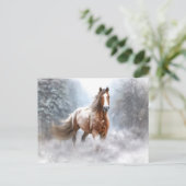 クリスマスの馬と雪 シーズンポストカード (スタンド正面)