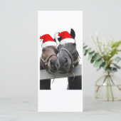 クリスマスの馬 (スタンド正面)