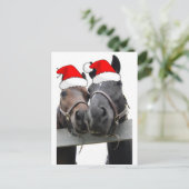 クリスマスの馬 シーズンポストカード (スタンド正面)