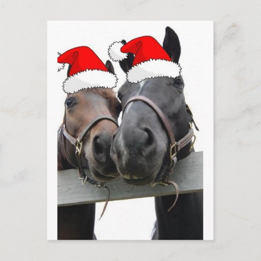 クリスマスの馬 シーズンポストカード (正面)